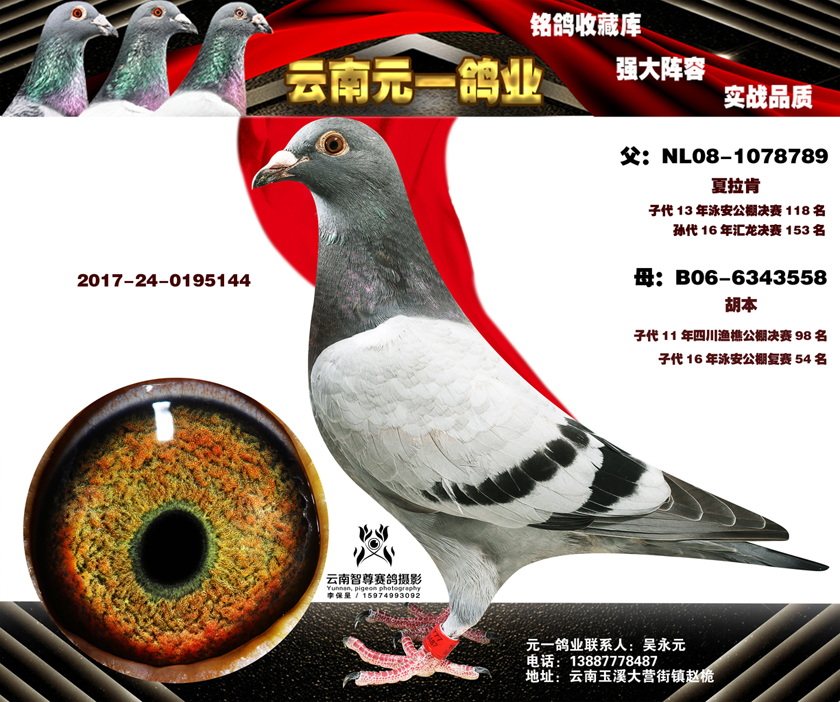 7-2017-24-0195144副本.jpg